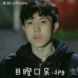 变形计表情包陈新颖,从青涩少年到网红达人